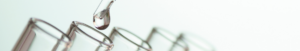 NuVest Group of Companies_NuVest Energy